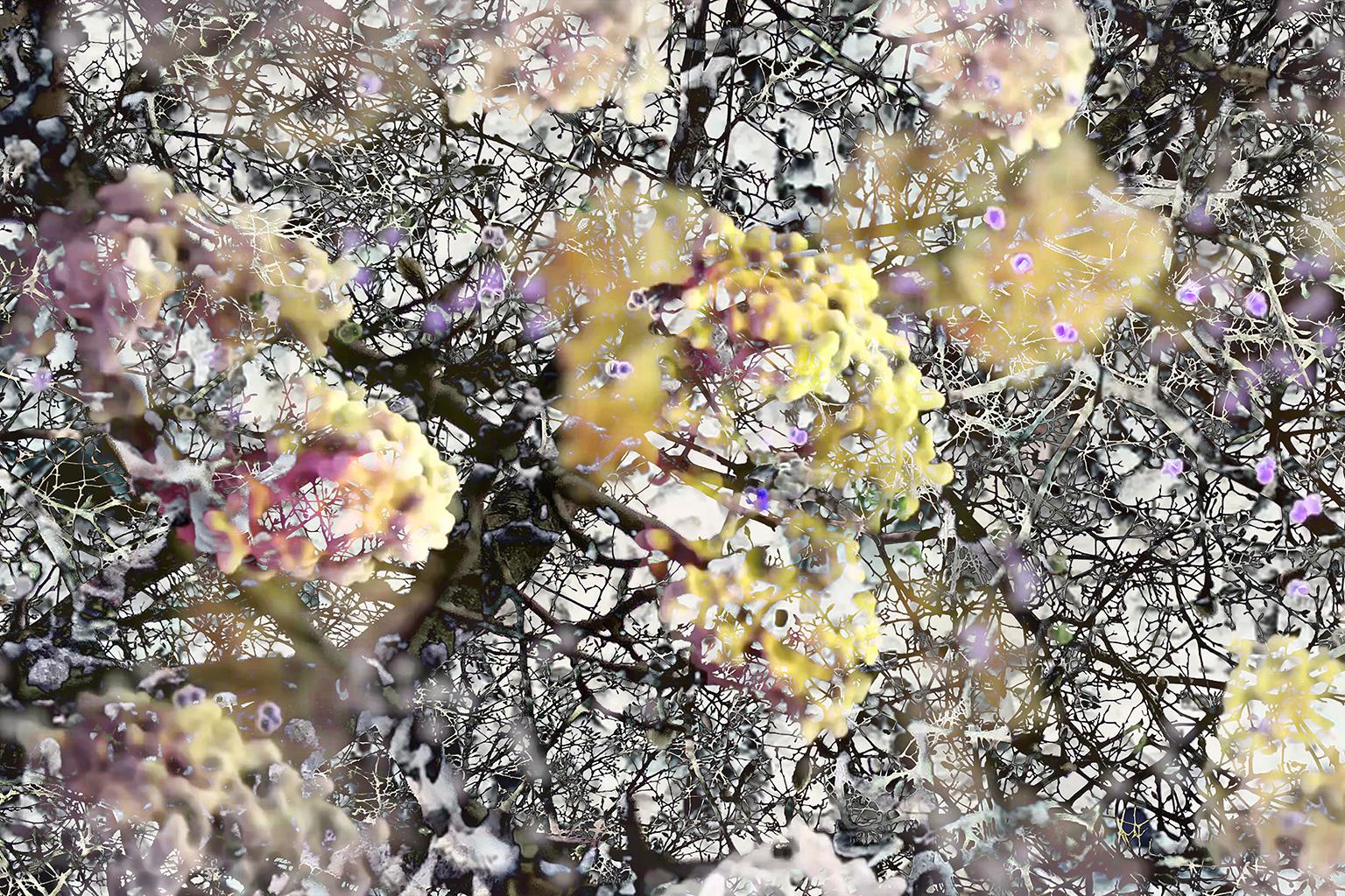 Costas Picadas Abstract Print - Mitosis 3 Yellow Black Large Abstract Nature Bio Exploration Acrylic Print