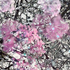 Mitosis 4 - Grande exposition abstraite de la nature en acrylique - Imprimé en violet et noir