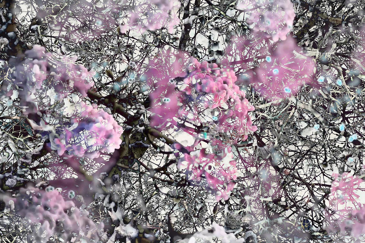 Costas Picadas Abstract Print - Mitosis 4 Violet & Black Giant Abstract Nature Bio Exploration Acrylic Print