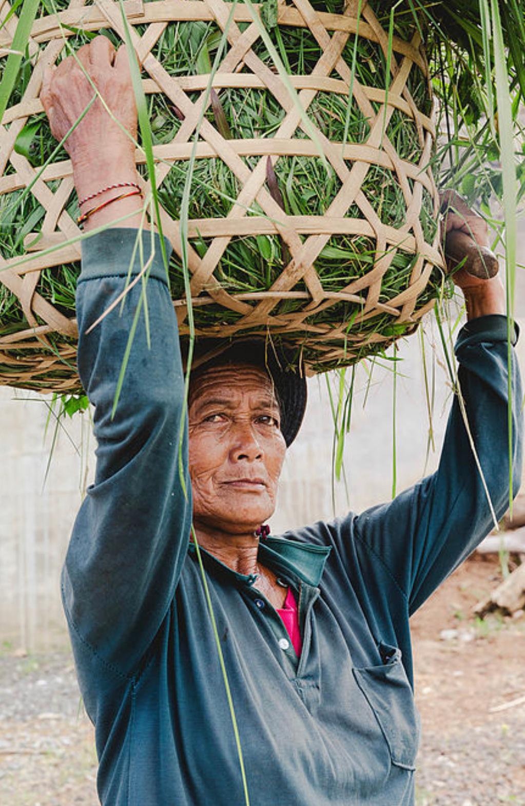 Andrea Anaya Portrait Photograph – Bali Porträt Bali, zeitgenössische Kunst, Fotografie, 21. Jahrhundert