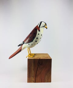 Used American Kestrel, Contemporary Art, Sustainable Art, Reclaimed Wood  