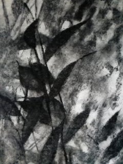 Notes on Shadows II:: Zeitgenössische Kunst:: Carbon-Zeichnung:: 21. Jahrhundert