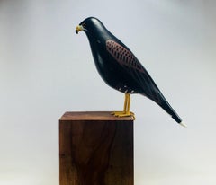Used Harris´s Hawk, Contemporary Art, Sustainable Art, Reclaimed Wood  