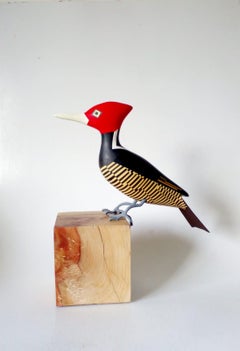 Woodpecker Campephilus guat, Contemporary Art, Sustainable Art, Reclaimed Wood  