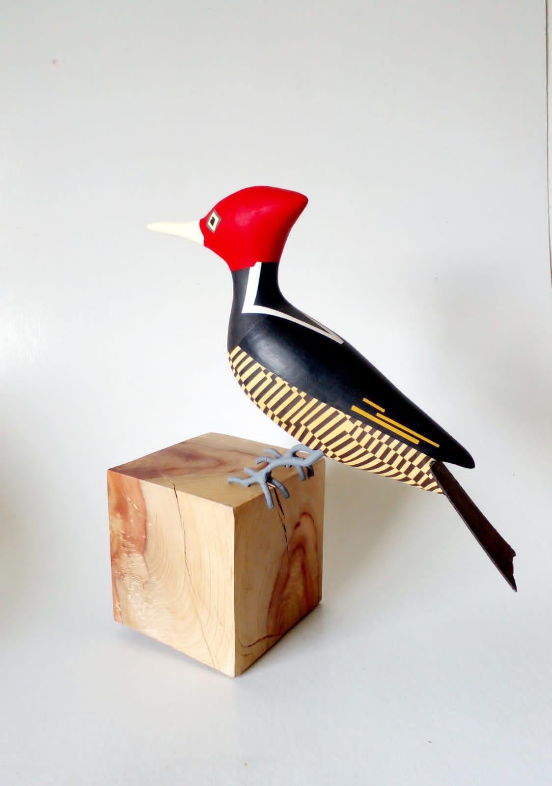Woodpecker Campephilus guat
Contemporary Art, Sustainable Art
Reclaimed Wood
Limited Edition
Signed

About the artist 

The beauty of nature
Davit Nava’s work focuses on showing the beauty of nature by creating sustainable art that seeks to raise