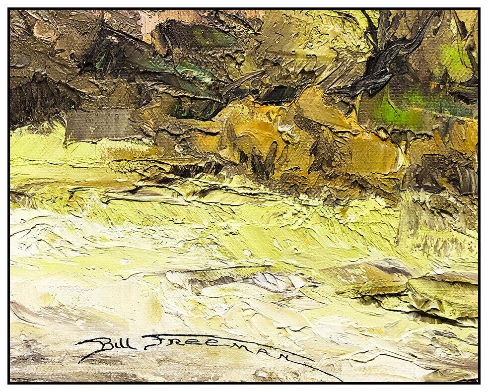 Bill Freeman Original Oil On Canvas Painting Signed Western Landscape Framed Art im Angebot 2