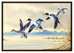 Harry Curieux Adamson Original Gouache Painting On Board Pintail Ducks Signed