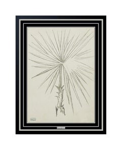 Joseph Stella Original Charcoal Flower Drawing Authentic Rare Still Life Artwork