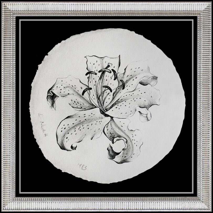 Lowell Nesbitt Still-Life - LOWELL Blair NESBITT Original Charcoal Drawing Authentic Signed Floral Artwork