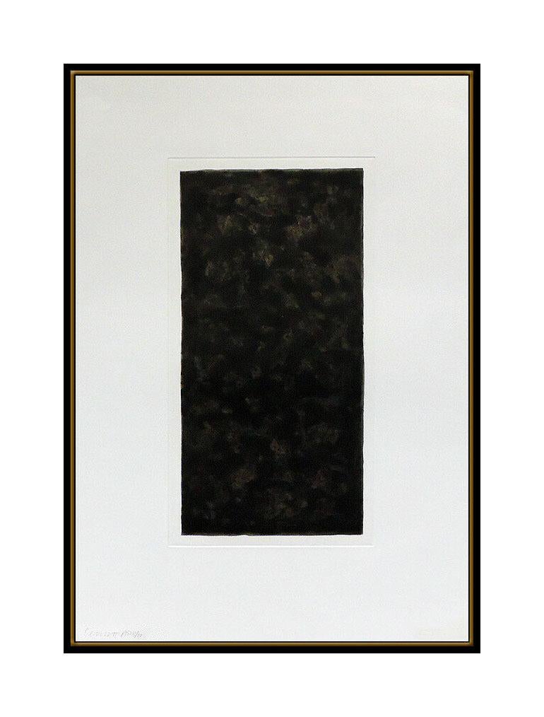 Sol Lewitt Aquatint Etching Hand Signed Large Abstract Art Color Black Framed For Sale 1