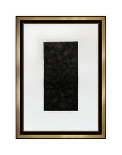 Sol Lewitt Aquatint Etching Hand Signed Large Abstract Art Color Black Framed