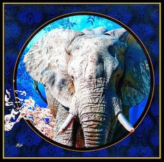 Adam Scott Rote Giclee on Canvas Original Wild Ones Elephant Walk Signed Artwork