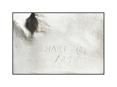 Frederick Hart Southwind Marble Relief Sculpture Large Original Nude Female Art