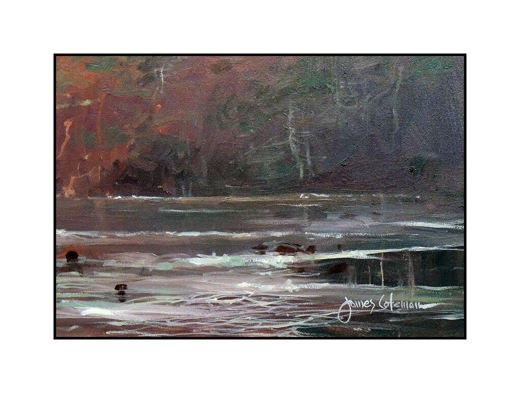 James Coleman Authentic and Large Original Oil Painting on Canvas, Professionally Custom Framed and listed with the Submit Best Offer option

Accepting Offers Now: The item up for sale is a spectacular and bold Oil Painting on Canvas by renowned