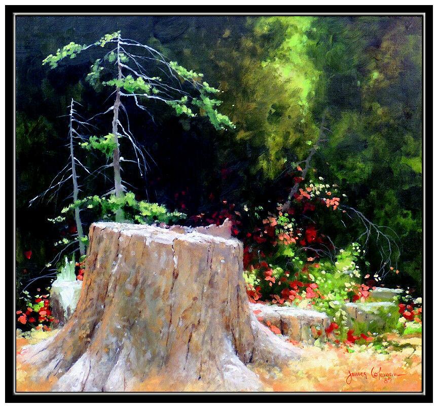 James Coleman Oil Painting On Canvas Original Signed Floral Landscape Nature Art For Sale 2