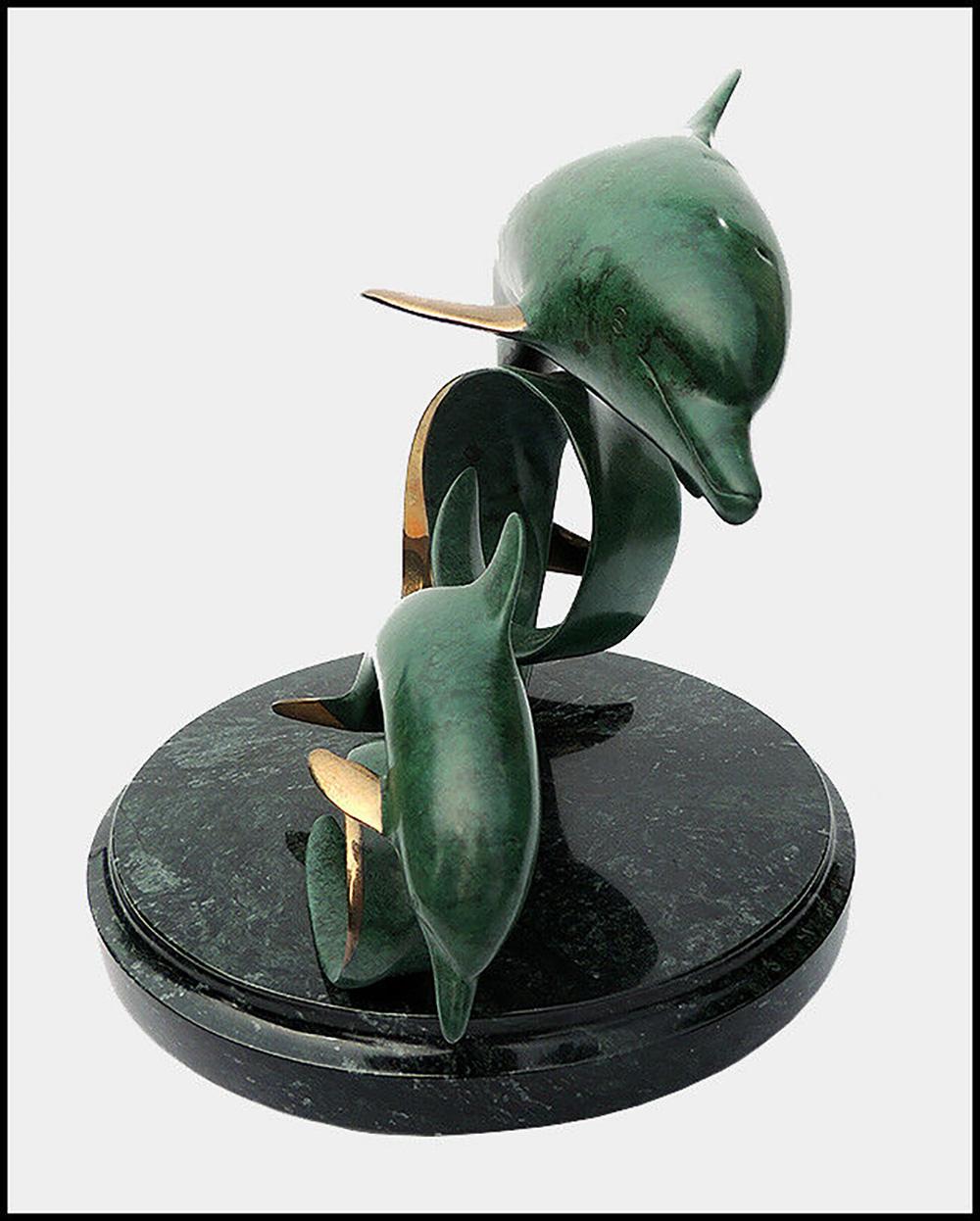 scott dolphin