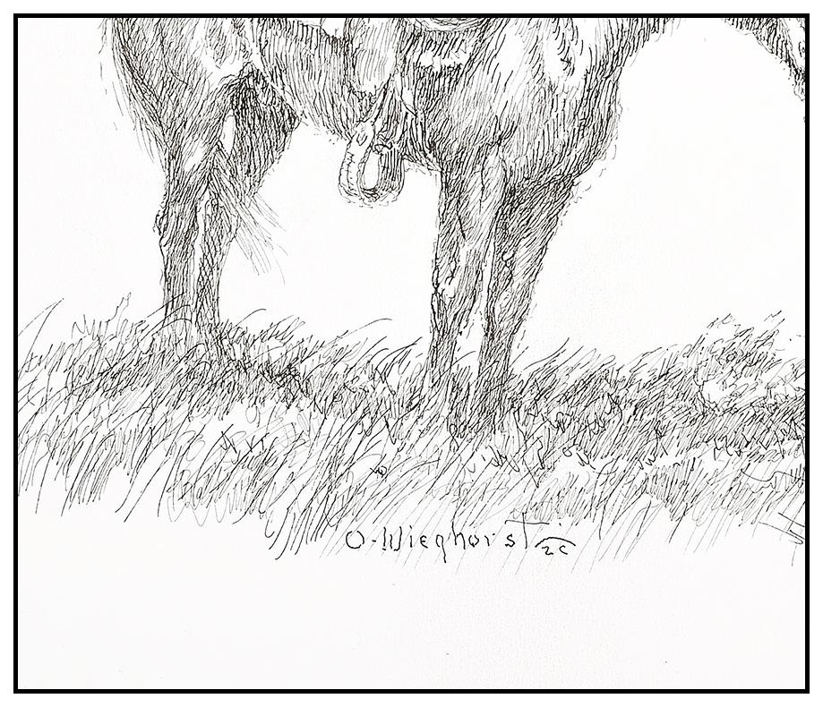 Olaf Wieghorst Original Ink Drawing Horse Western Portrait Illustration Signed For Sale 2