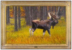 Kyle Sims Large Original Oil Painting On Canvas Moose Wildlife Signed Framed Art