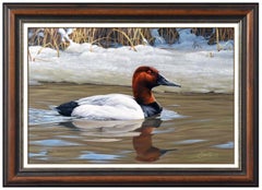 Daniel Dan Smith Original Oil Painting On Board Duck Bird Wildlife Signed Art