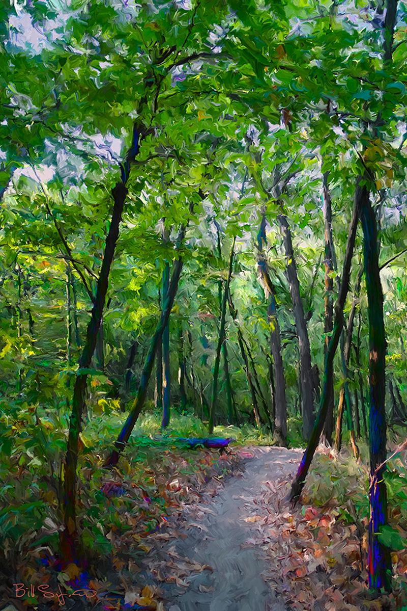 Bill Luchsinger  Landscape Print - Woodland Walk (Woodland landscape digital painting on aluminum)