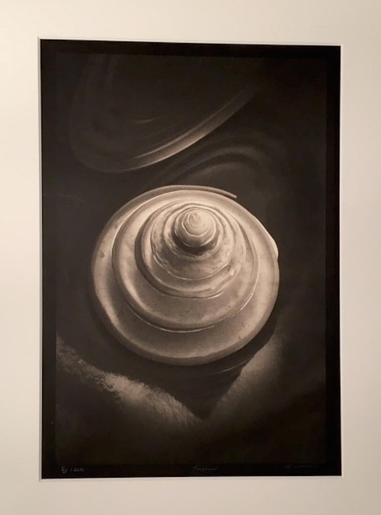 Bob Kersey Black and White Photograph - Insprial, Shell, Platinum Palladium Soft Subtle Beautiful Photograph