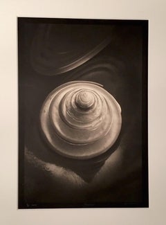 Insprial, Shell, Platinum Palladium Soft Subtle Beautiful Photograph