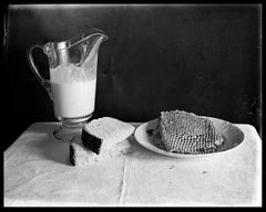 Nature Morte, large framed archival photograph from found glass negatives,