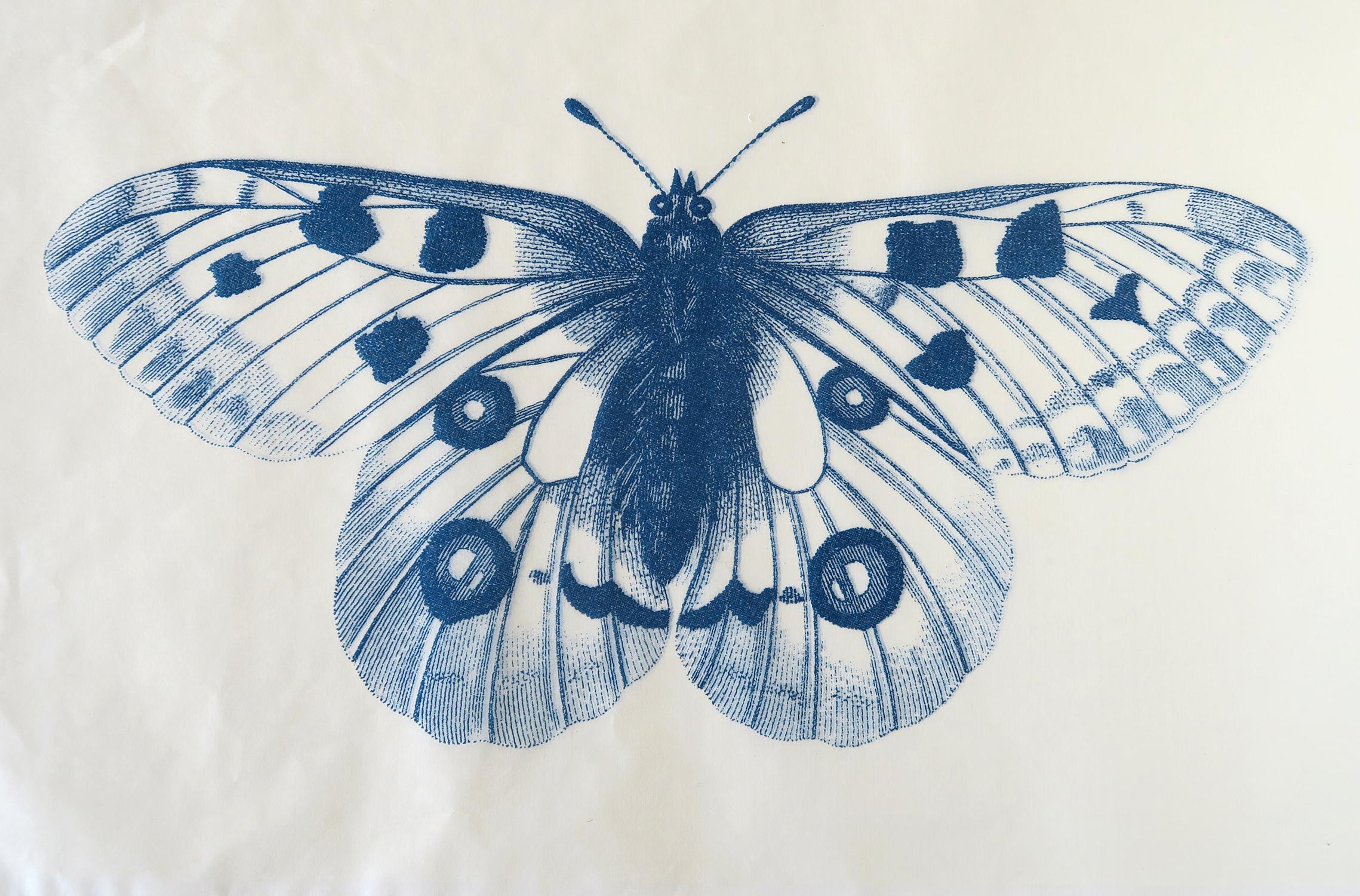 Penelope Stewart Animal Print – Papillion, photo lithography on Japanese paper 2018