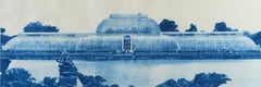 Penelope Stewart - Paradise at Kew Gardens, hand printed photo lithography on Japanese paper 2018, Used Paradise at Kew Gardens, hand printed photo lithography on Japanese paper 2018,