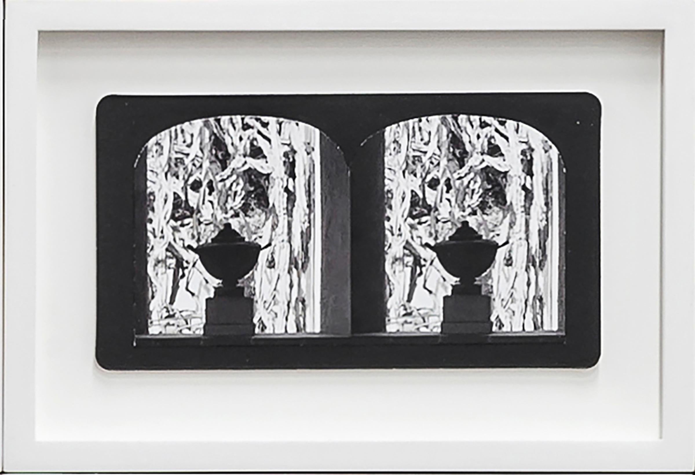 Penelope Stewart Still-Life Photograph - Ruin Gazing, No: 011, Urn and Euphorobias, Lotusland framed stereoscopic card