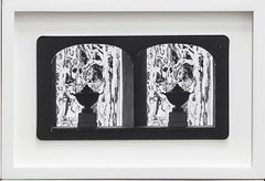 Ruin Gazing, No: 011, Urn and Euphorobias, Lotusland framed stereoscopic card