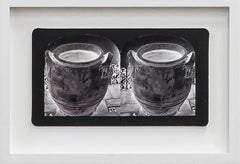 Ruin Gazing, No: 020 Clay Urns at Lotusland, framed stereoscopic card