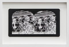 Ruin Gazing No: 024 Balusters at Casa Loma, framed stereoscopic card