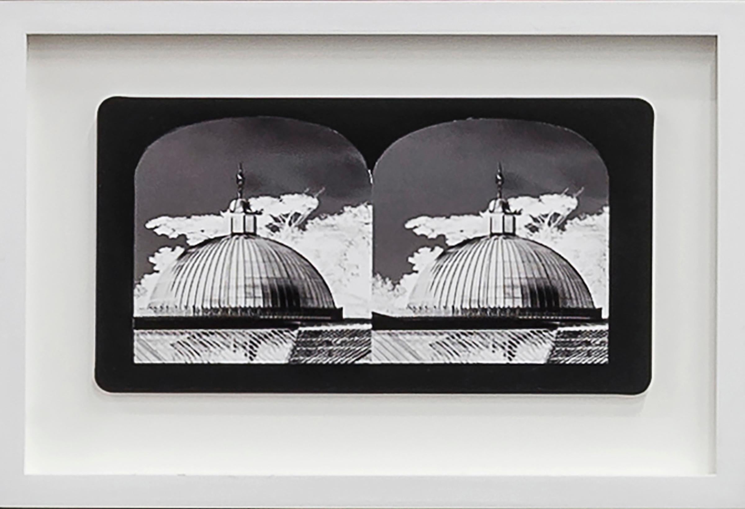 Penelope Stewart Landscape Photograph - Ruin Gazing No: 026 Domes at Kibble Palace, Glasgow, framed stereoscopic card