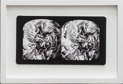Ruin Gazing, No:029 Carnations, stereoscopic card framed
