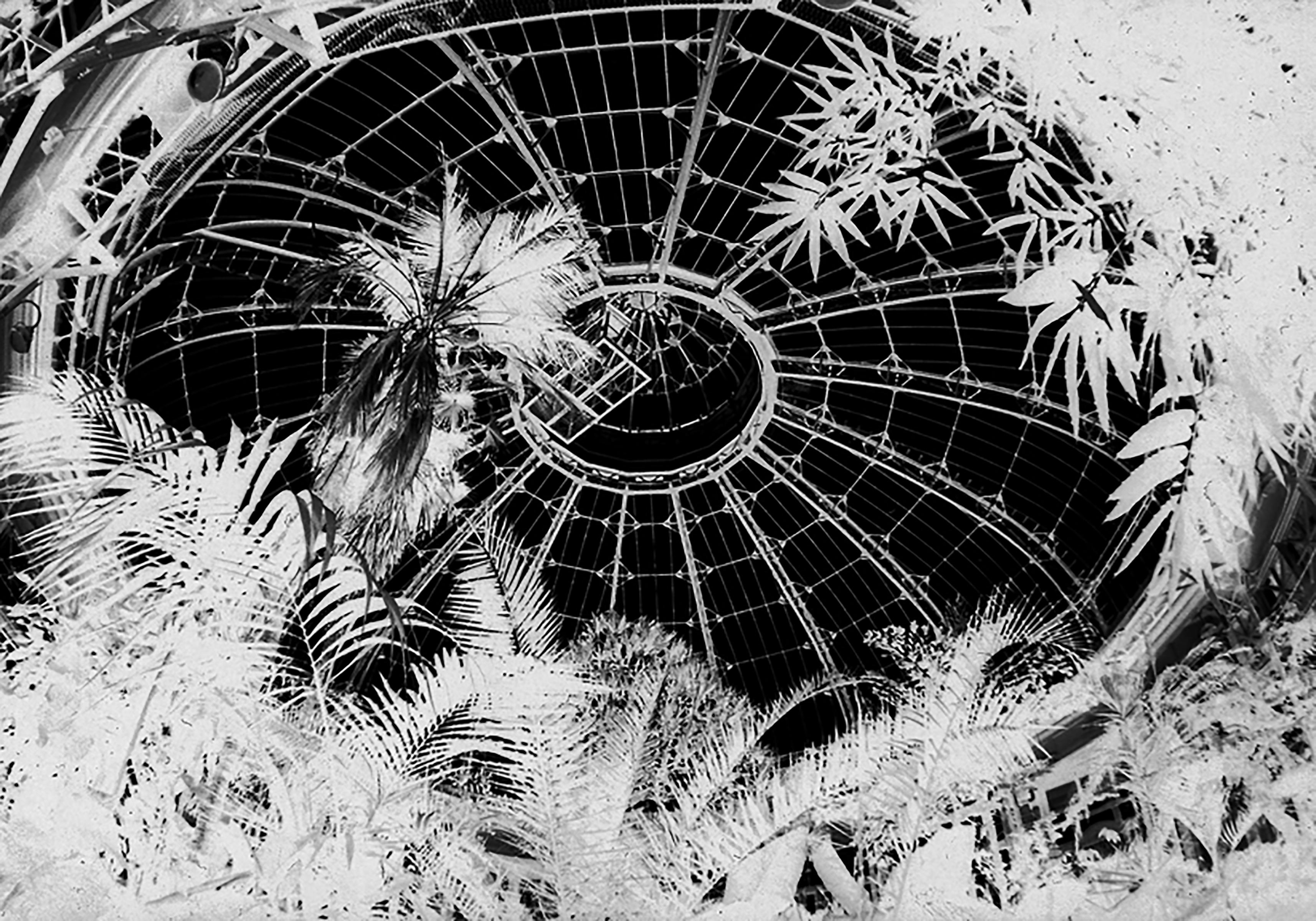 Penelope Stewart Landscape Photograph - Terminus IV, black and white photo on glass