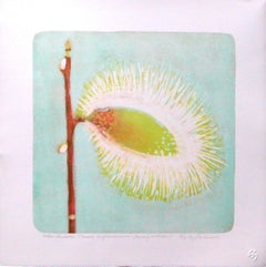 Salix Discolor (Late Winter Pussy Willow) # 1 stone litho acid tint and pochoir