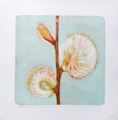 Salix Discolor (Late Winter Pussy Willow) 2 stone litho acid tint and pochoir  