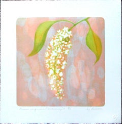 . Prunus Virginiana (Chokecherry) #2 stone litho acid tint and pochoir
