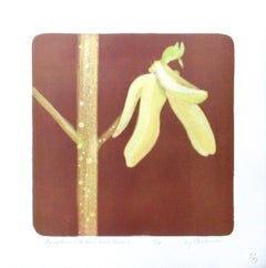 Forsythia (Golden Bell Bush)#1 hand stone litho, acid tint and pochoir