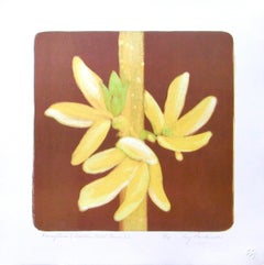 Forsythia (Golden Bell Bush) #2 hand stone lithography, acid tint and pouchoir
