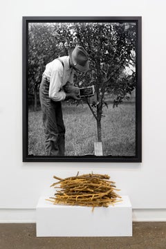 Apian Revery, large framed black and white photograph from found glass negatives