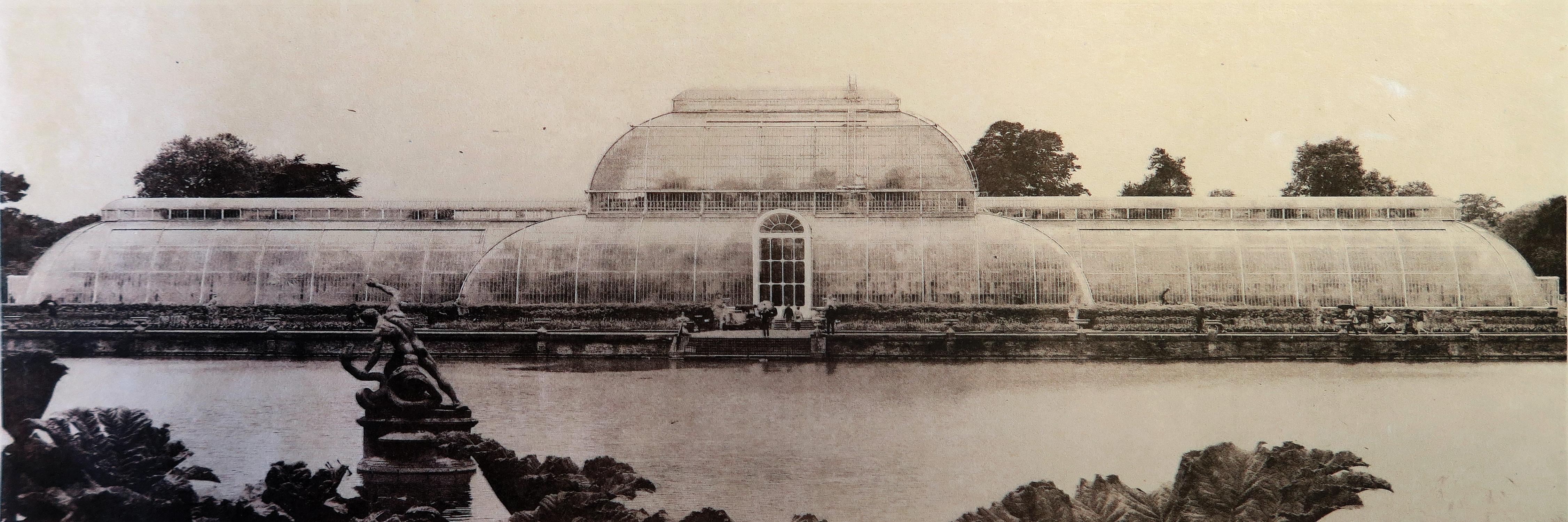 Paradise at Kew Gardens, hand printed photo lithography on Japanese paper 2018,  - Print by Penelope Stewart