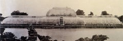 Paradise at Kew Gardens, hand printed photo lithography on Japanese paper 2018,