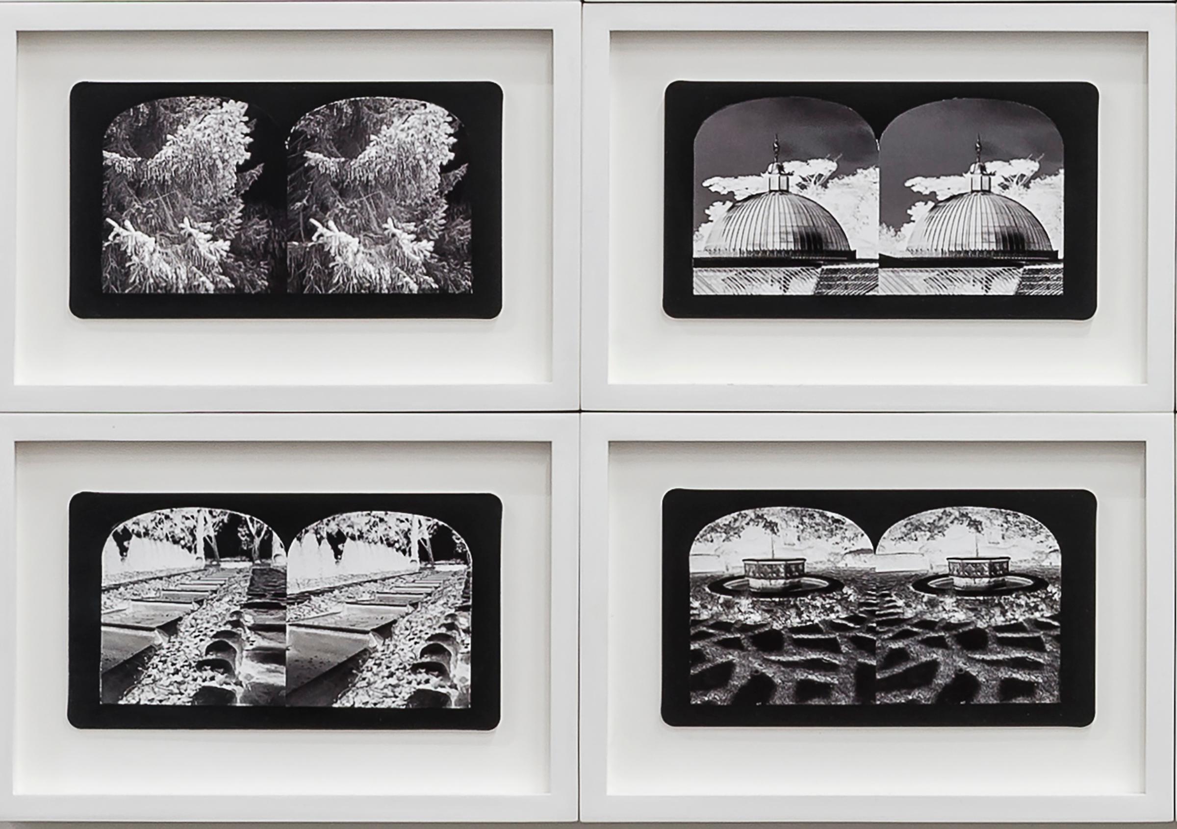 Ruin Gazing No: 026 Domes at Kibble Palace, Glasgow, framed stereoscopic card - Photograph by Penelope Stewart