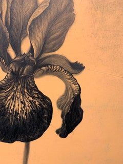 Meditative Orchid Tonal Still Life