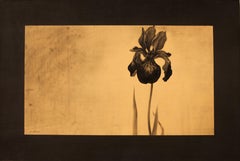 Meditative Orchid Tonal Still Life