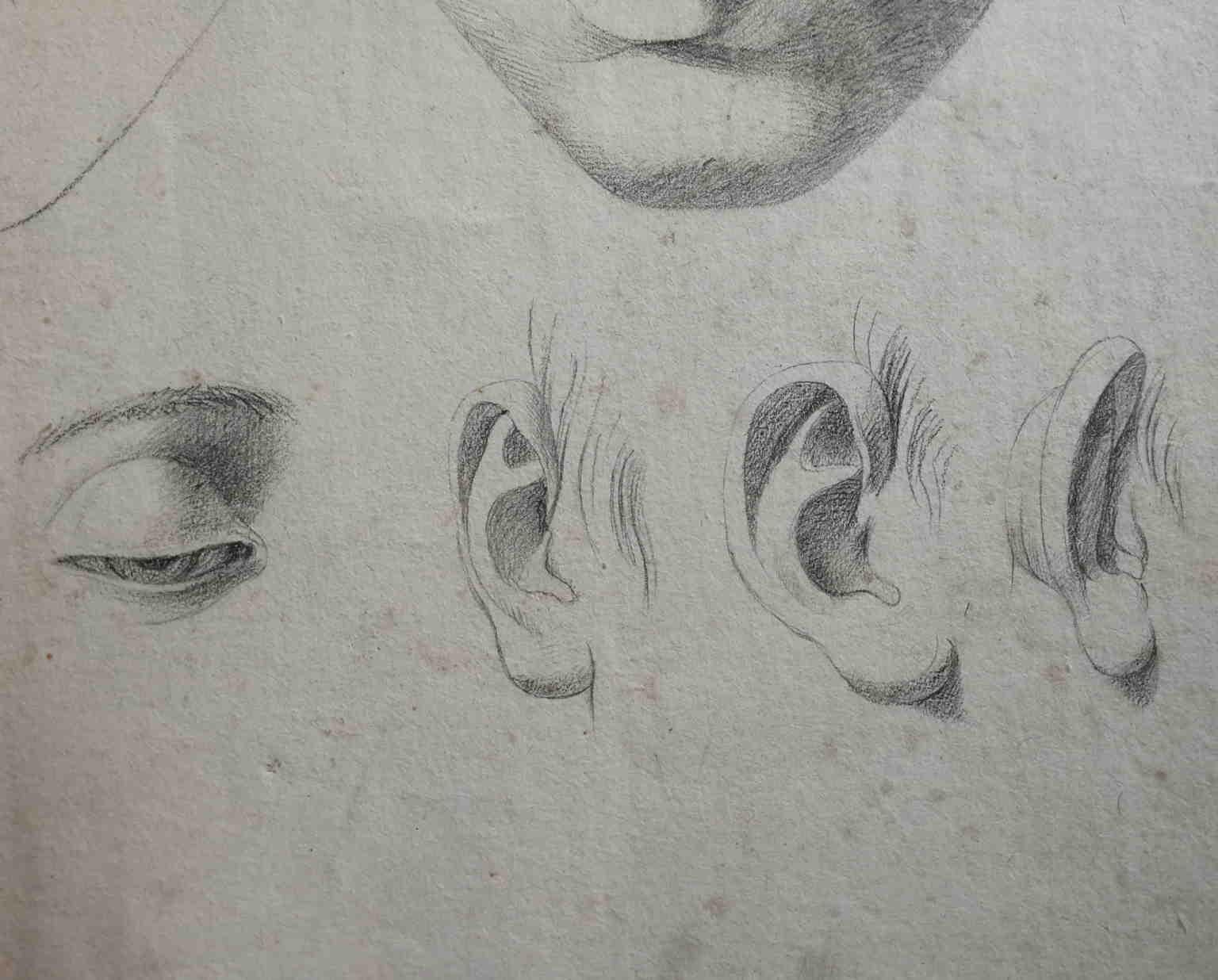pencil drawing anatomy