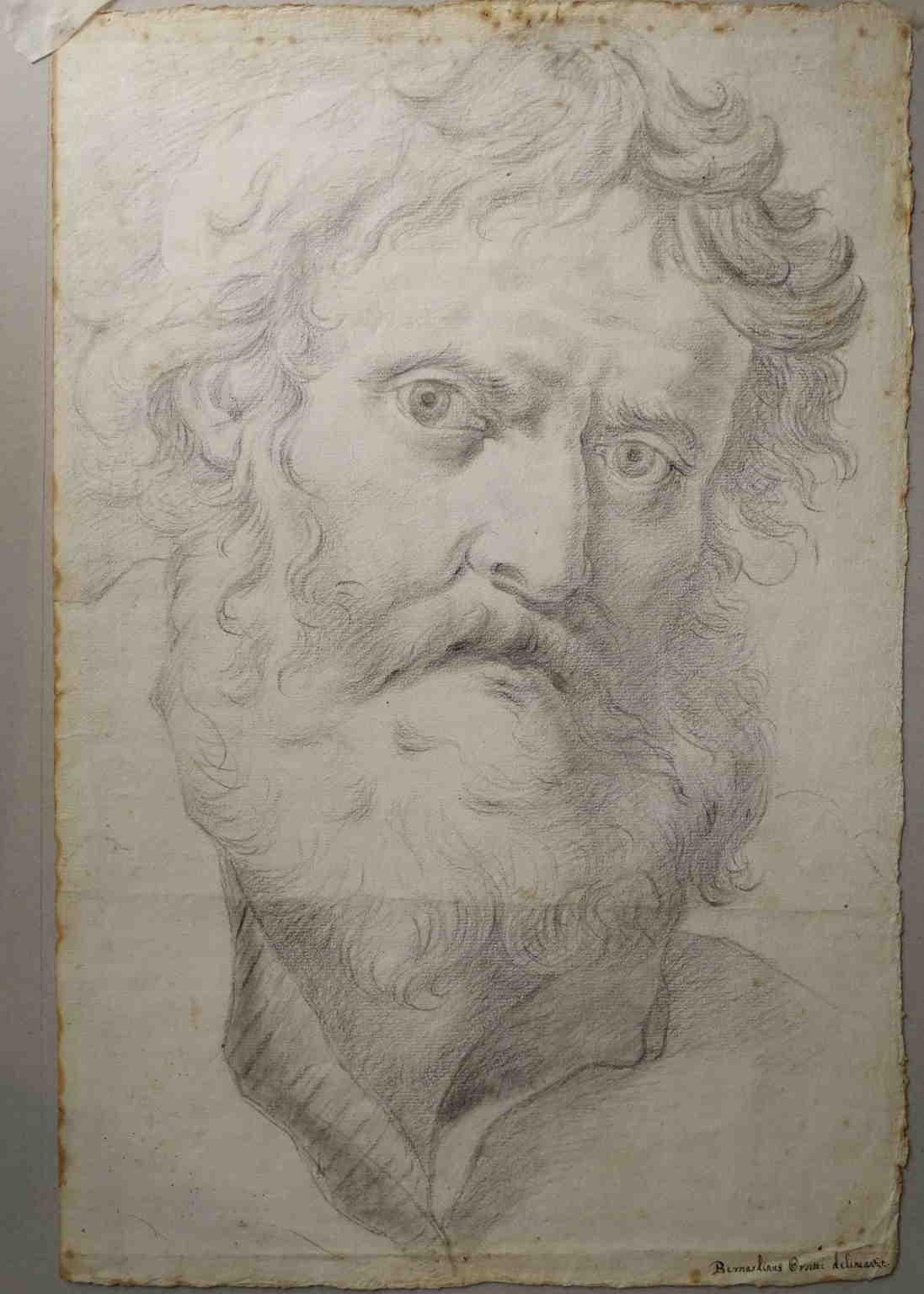 Bernardino Orsetti Portrait - Disegno figurativo toscano neoclassico raffigurante un uomo barbuto