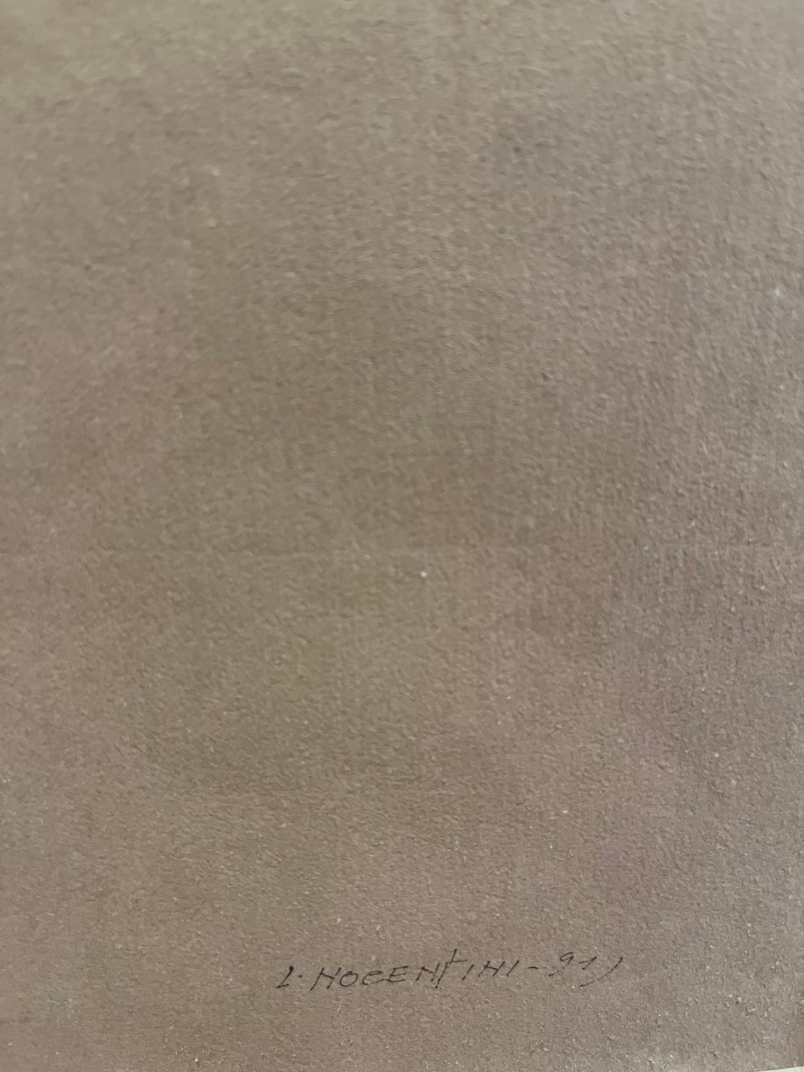 Il disegno, penna con inchiostri di diversi colori su carta, è firmato e datato L.E.L. 91.
La carta si presenta di un bel colore marrone nocciola, anche se con la luce del video e delle foto può assumere una diversa sfumatura.
 Rappresenta una